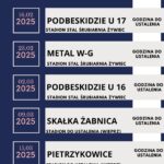 Różowy Granatowy Elegancki Jodełka Plan Podróży Terminarz_20241130_112905_0000